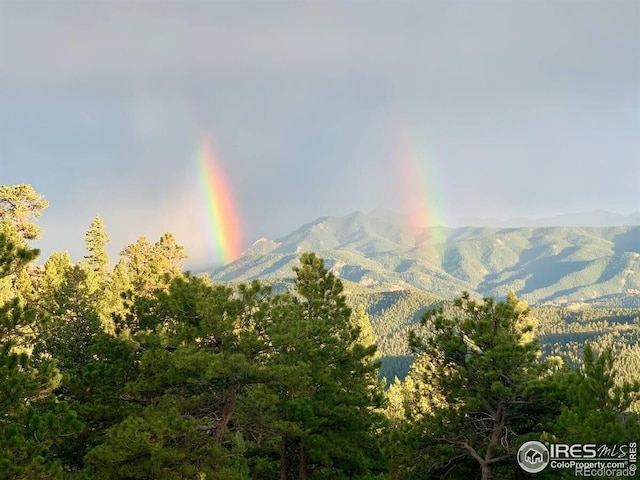 311 Sky Trail Rd, Boulder, CO 80302 - mountain view with a forest