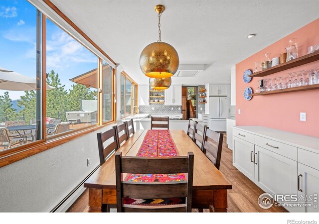311 Sky Trail Rd, Boulder, CO 80302 - dining room featuring light wood-type flooring and baseboard heating
