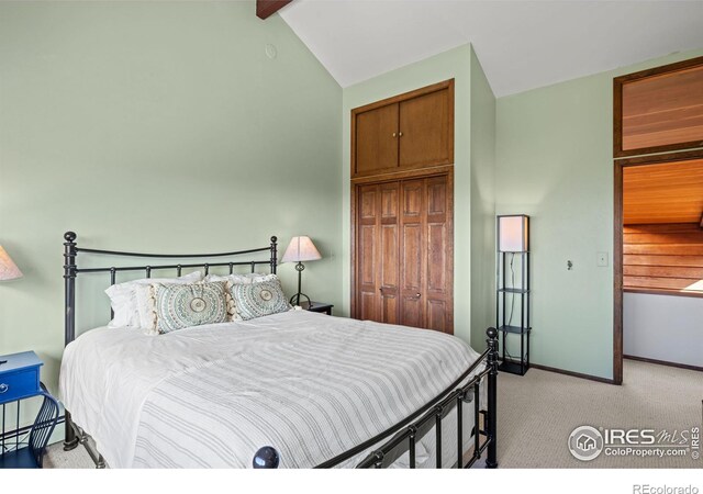 311 Sky Trail Rd, Boulder, CO 80302 - bedroom with a closet and carpet