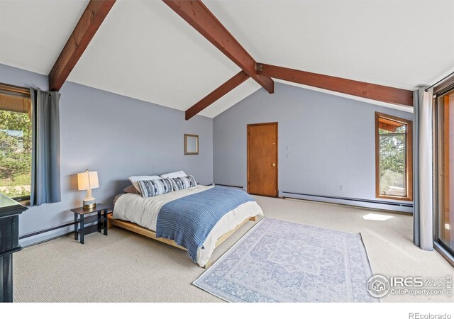 311 Sky Trail Rd, Boulder, CO 80302 - carpeted bedroom with a baseboard heating unit and baseboard heating
