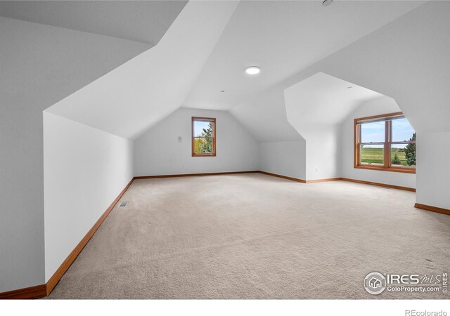 5986 Heather Way, Longmont, CO 80503 - additional living space with lofted ceiling and carpet flooring
