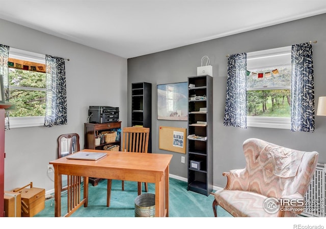 394 Deer Trail Cir, Boulder, CO 80302 - office area with carpet floors