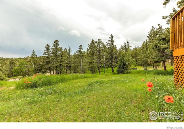 394 Deer Trail Cir, Boulder, CO 80302 - view of yard with a forest view