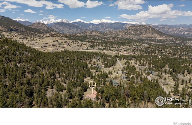 3333 Rockwood Ln S, Estes Park, CO 80517 - photo 37