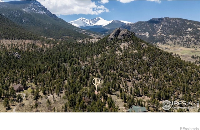 3333 Rockwood Ln S, Estes Park, CO 80517 - photo 2