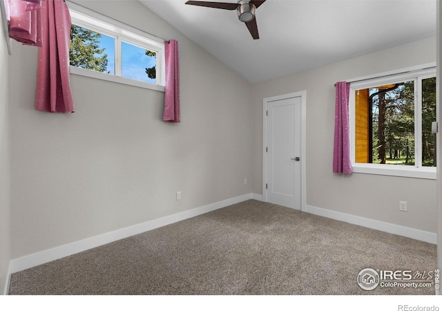 3333 Rockwood Ln S, Estes Park, CO 80517 - photo 25