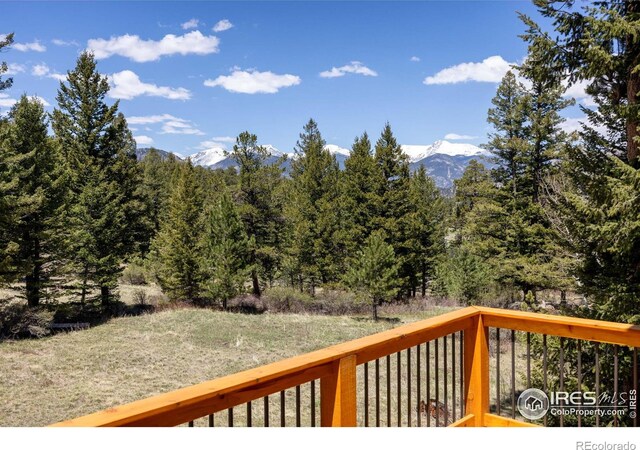 3333 Rockwood Ln S, Estes Park, CO 80517 - photo 21