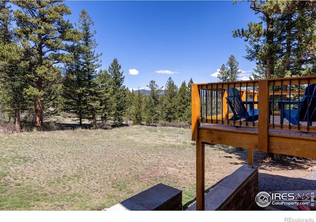 3333 Rockwood Ln S, Estes Park, CO 80517 - photo 34
