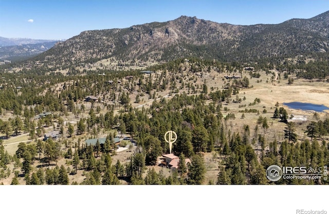 3333 Rockwood Ln S, Estes Park, CO 80517 - photo 38