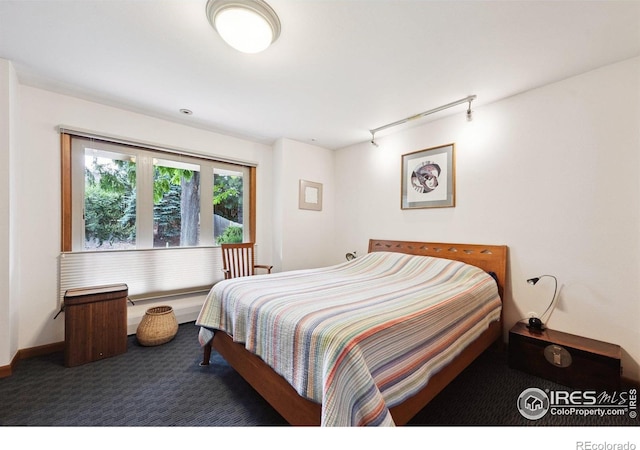 7290 Mount Sherman Rd, Longmont, CO 80503 - bedroom with carpet floors and rail lighting