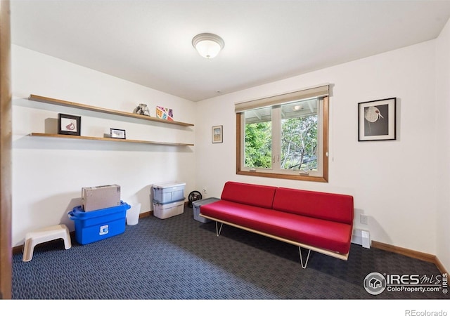 7290 Mount Sherman Rd, Longmont, CO 80503 - sitting room with carpet
