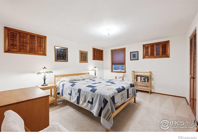 7290 Mount Sherman Rd, Longmont, CO 80503 - bedroom with light colored carpet and a closet