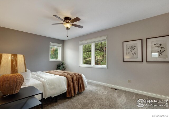 119 Eagle Canyon Cir, Lyons, CO 80540 - photo 25