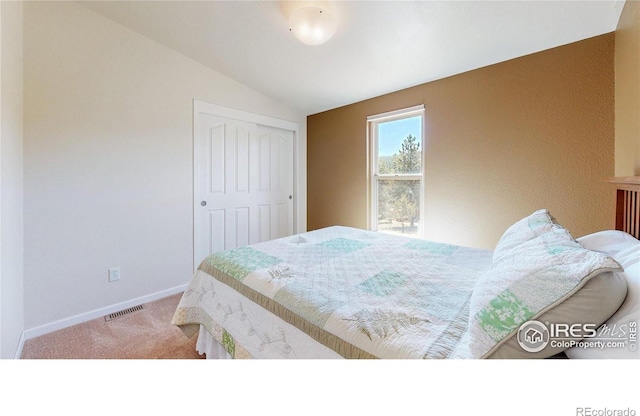 53 Obrien Rd, Bailey, CO 80421 - photo 18