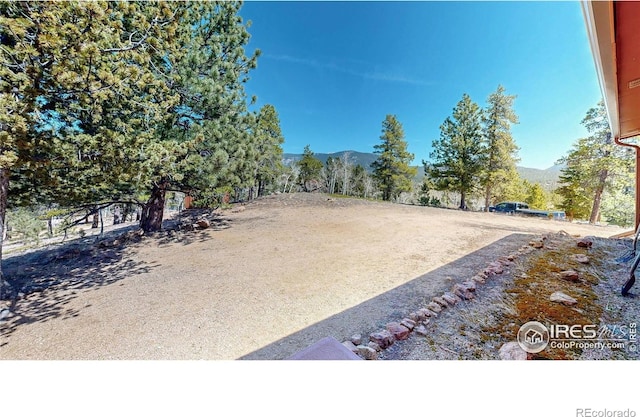 53 Obrien Rd, Bailey, CO 80421 - photo 35