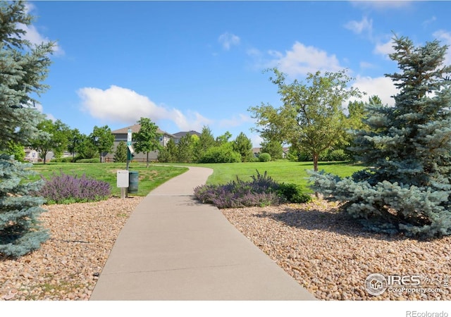 2599 Trio Falls Dr, Loveland, CO 80538 - view of property's community with a lawn