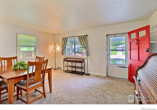2430 14th Ave, Greeley, CO 80631 - photo 7