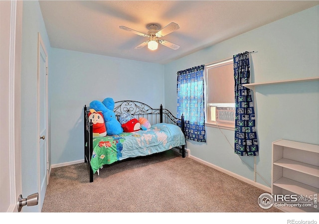 2430 14th Ave, Greeley, CO 80631 - photo 24