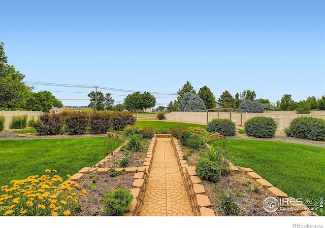 9629 Bountiful St, Firestone, CO 80504 - view of yard