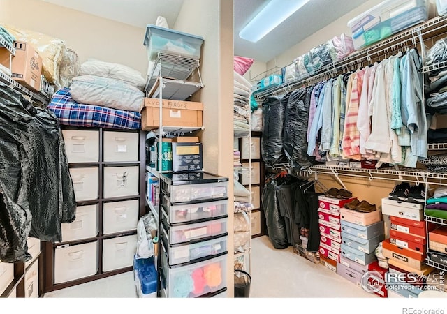 9629 Bountiful St, Firestone, CO 80504 - walk in closet featuring carpet flooring