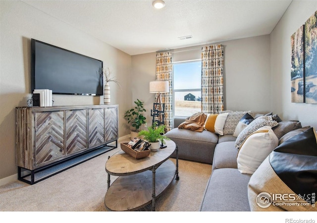 4331 Gypsum Ave, Mead, CO 80504 - photo 6