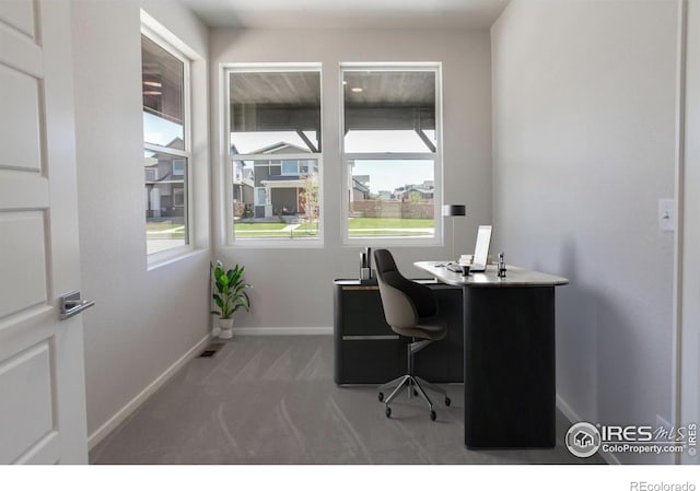 6013 Goodnight Ave, Timnath, CO 80547 - home office featuring carpet floors and plenty of natural light