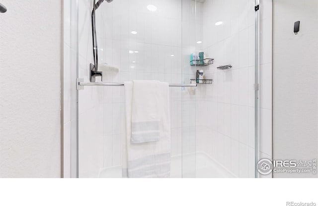 6013 Goodnight Ave, Timnath, CO 80547 - full bath featuring a shower stall