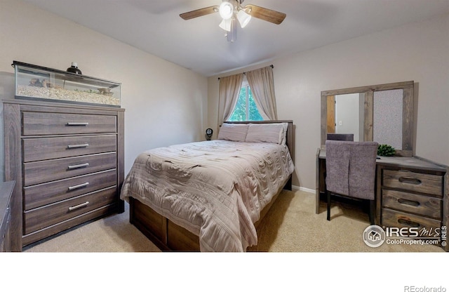 2331 Sunray Ct, Fort Collins, CO 80525 - photo 15