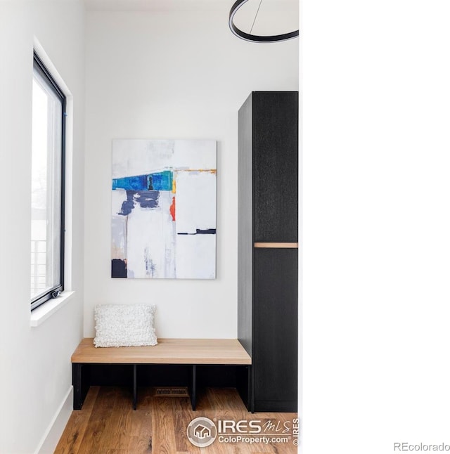 358 Arapahoe Ave Unit B, Boulder, CO 80302 - mudroom with wood finished floors and plenty of natural light