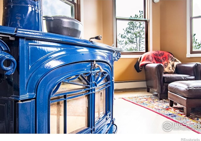 18 Pine St, Jamestown, CO 80455 - detailed view of a baseboard radiator and baseboards