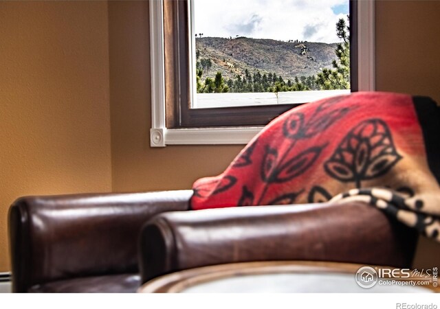 18 Pine St, Jamestown, CO 80455 - view of living area