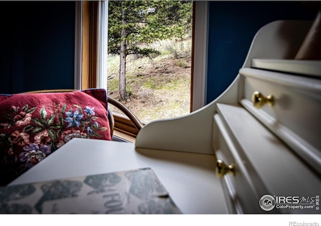 18 Pine St, Jamestown, CO 80455 - detailed view