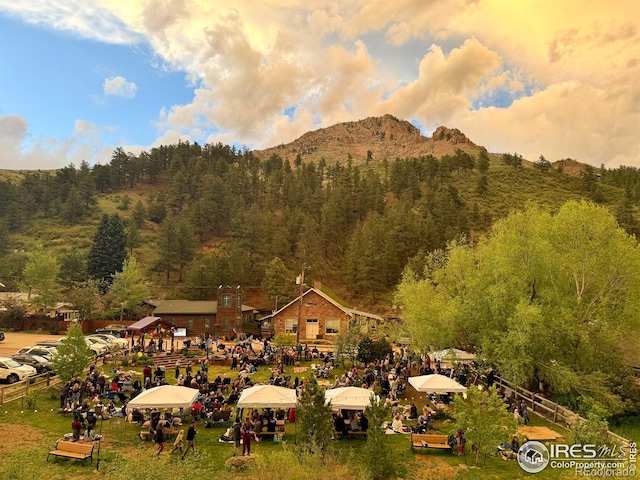 18 Pine St, Jamestown, CO 80455 - view of mountain backdrop with a forest