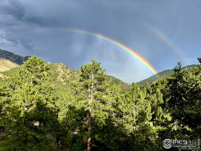 18 Pine St, Jamestown, CO 80455 - mountain view featuring a forest