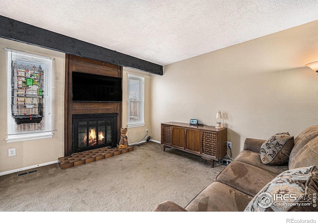 8746 Carr Loop, Arvada, CO 80005 - photo 8