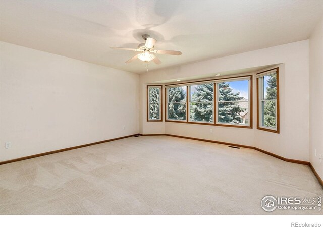 6005 W 21st St, Greeley, CO 80634 - photo 19