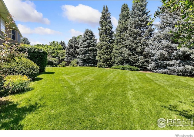 6005 W 21st St, Greeley, CO 80634 - photo 35