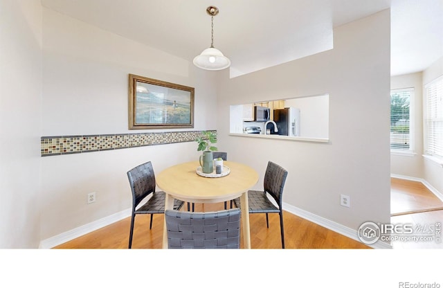 6820 Antigua Dr Unit 21, Fort Collins, CO 80525 - photo 7