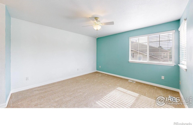 6820 Antigua Dr Unit 21, Fort Collins, CO 80525 - photo 10