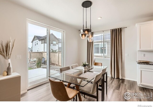 71 Sugar Beet Cir, Longmont, CO 80501 - dining room featuring healthy amount of natural light and light wood-style floors