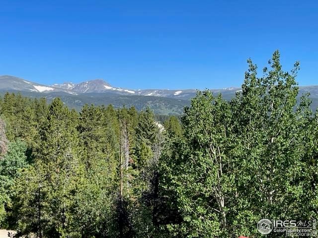 8 Valley View Dr, Nederland, CO 80466 - view of mountain backdrop featuring a heavily wooded area