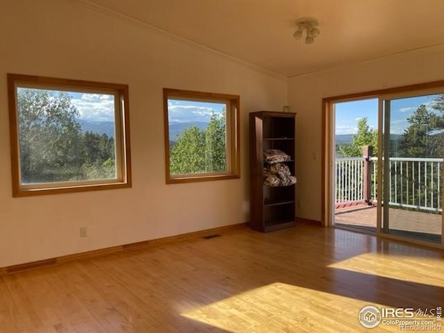 8 Valley View Dr, Nederland, CO 80466 - unfurnished room with wood finished floors, plenty of natural light, crown molding, and lofted ceiling