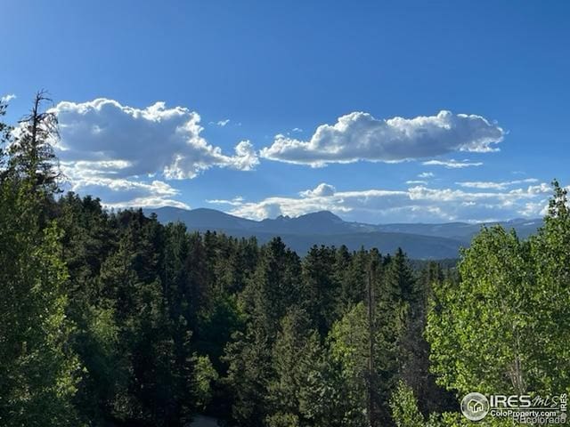 8 Valley View Dr, Nederland, CO 80466 - mountain view featuring a heavily wooded area
