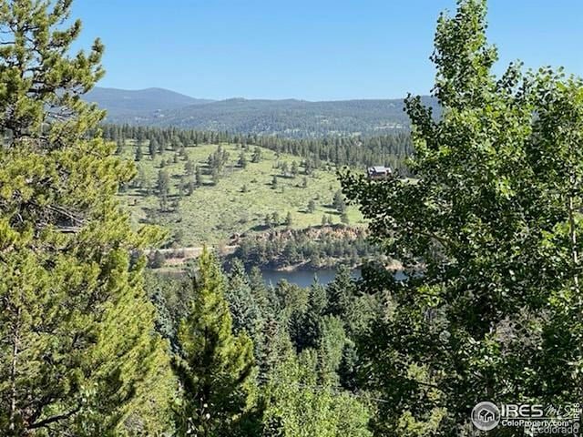 8 Valley View Dr, Nederland, CO 80466 - view of mountain background featuring a forest