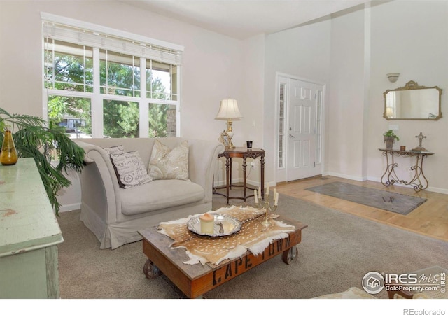 121 Osprey Ln, Lyons, CO 80540 - living room featuring wood finished floors and baseboards
