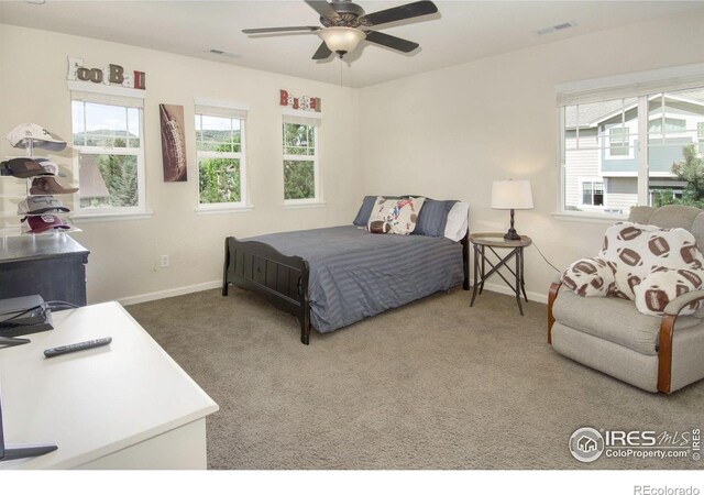 121 Osprey Ln, Lyons, CO 80540 - carpeted bedroom with multiple windows and a ceiling fan