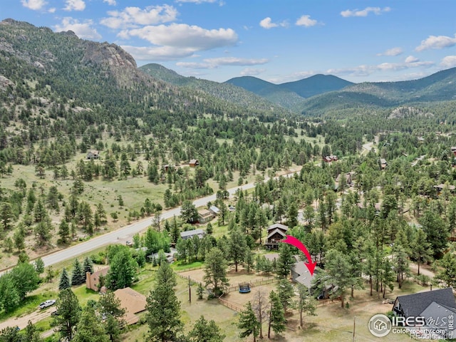1015 Hide A Way Ln, Estes Park, CO 80517 - photo 34
