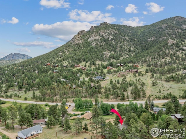 1015 Hide A Way Ln, Estes Park, CO 80517 - photo 36