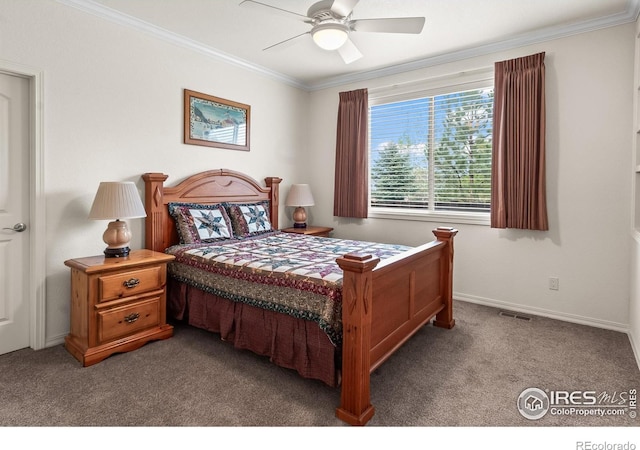 6825 Apache Rd, Loveland, CO 80534 - photo 28