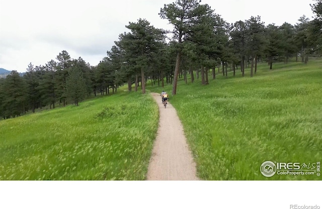 375 Arroyo Chico, Boulder, CO 80302 - photo 29